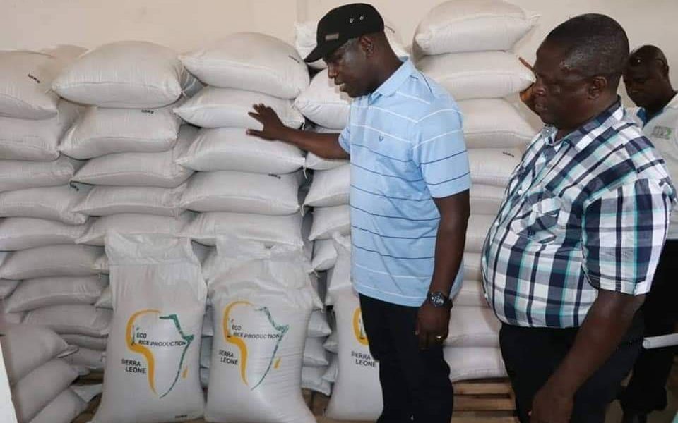 Commendations As Sierra Leone’s Chief Minister Introduces Homemade ECO Rice