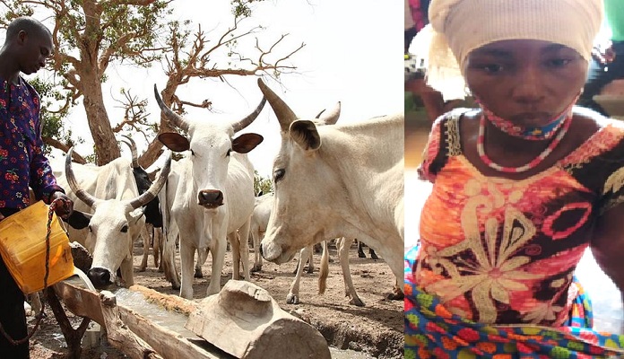 Cattle Rearers Beat Pregnant Woman to Coma in Makeni