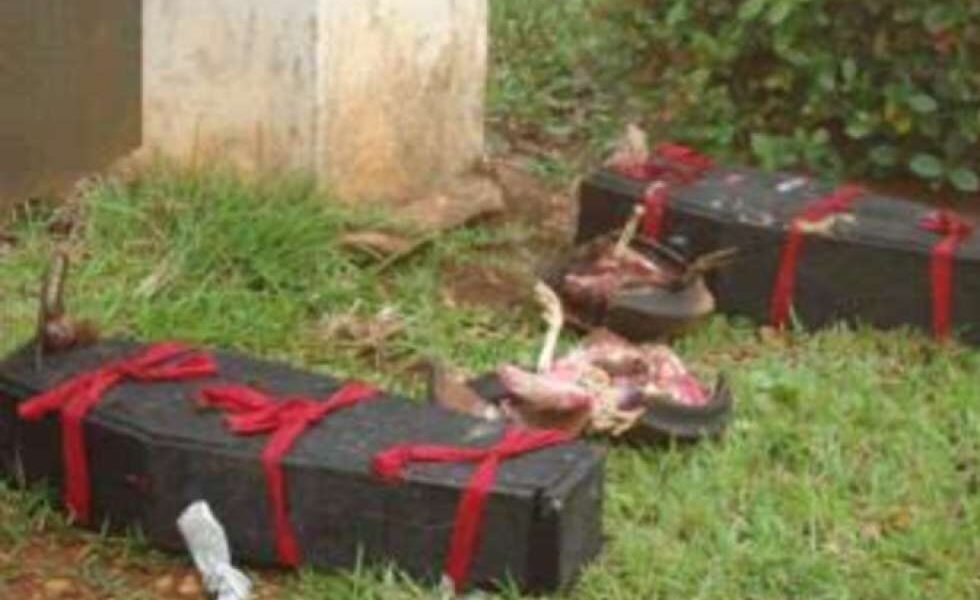 4-Yr Old Boy Found Dead in Kenema With Body Parts Removed