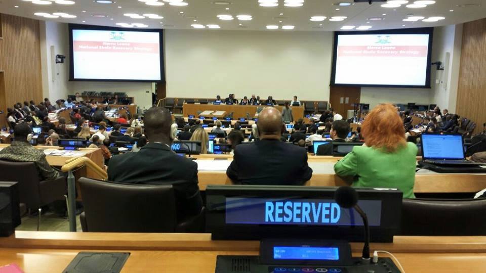 Concerned Sierra Leoneans Blasts APC at United Nations Confab