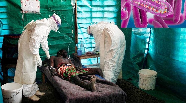 New Deadly Marburg Virus Disease Confirmed in West Africa
