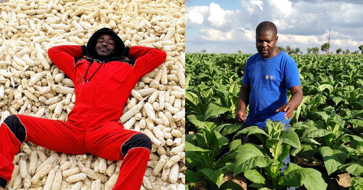 Zimbabwean Young Farmers Lead The Charge in Agriculture