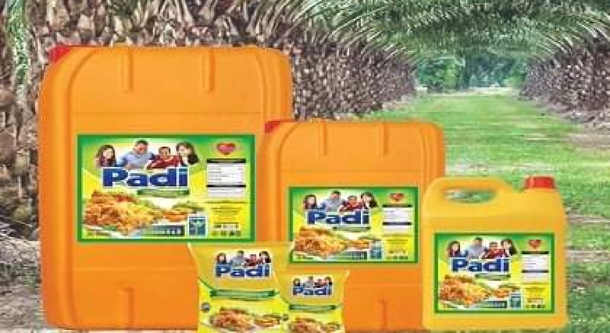 Great Breakthrough As Sierra Leone Prepares to Export Cooking Oil