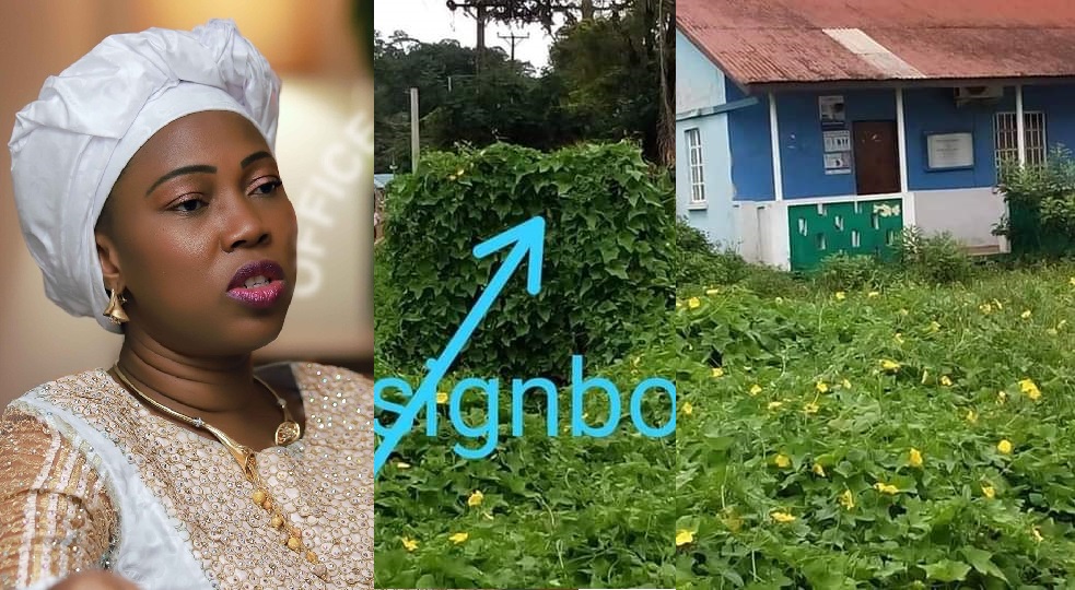 Grass Takes Over “Hands Off Our Girls” Office as Fatima Bio Abandons Campaign