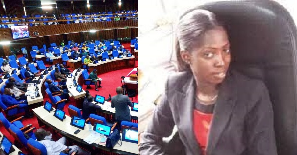 Sierra Leone Parliament Approves New NEC Commissioner Despite Opposition Rejection