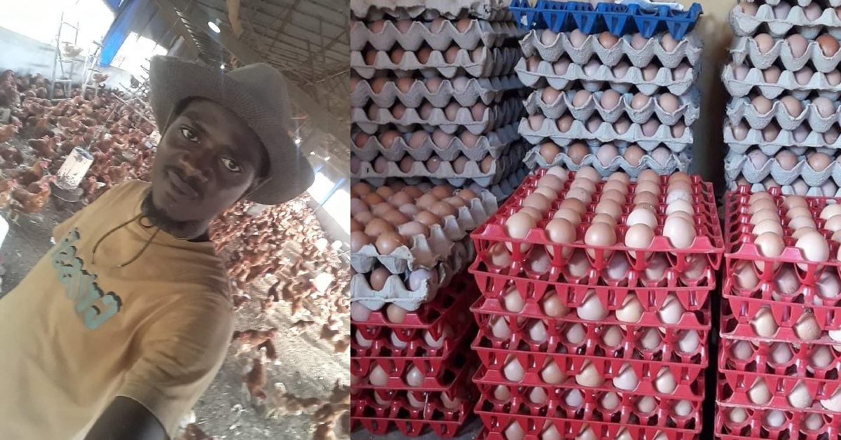Young Sierra Leonean Enterpreneur Shares Photos of His Poultry Investment 