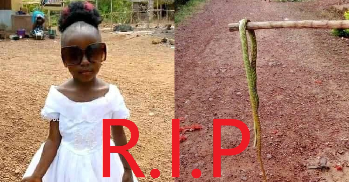 Beautiful Girl Dies After Snake Bite in Port Loko