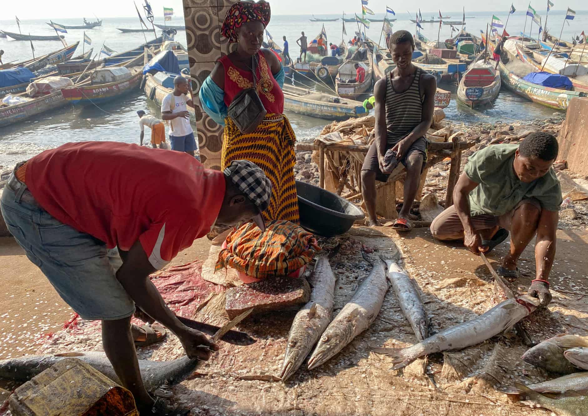 Illegal Overfishing by Chinese Trawlers Leaves Sierra Leone Locals ...