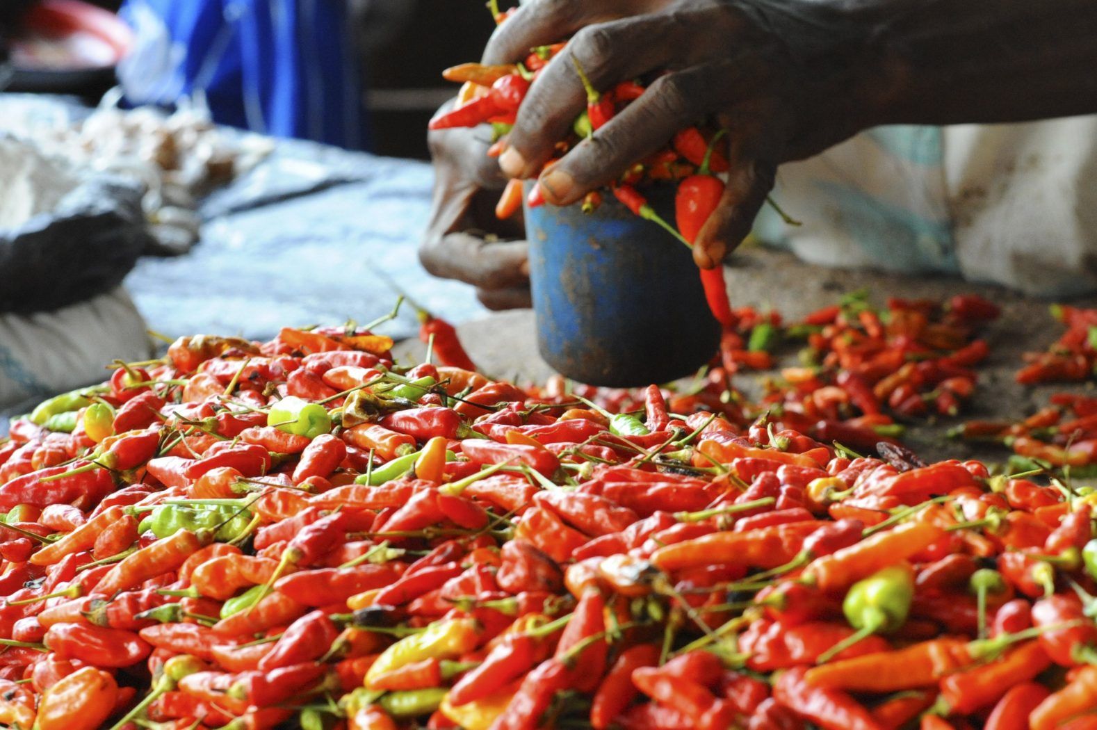 Musa Fayia Who Was Sentenced to 4 Years Imprisonment For Stealing Pepper Released by High Court Judge in Kailahun