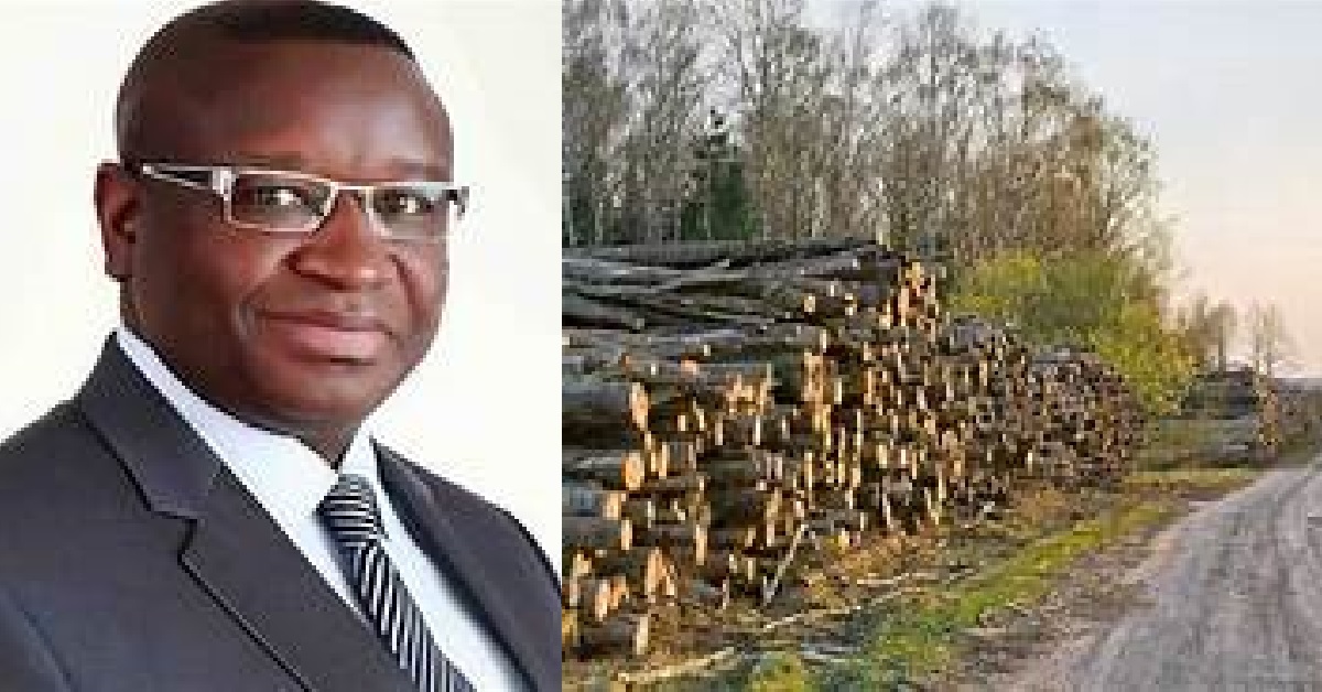 “After 2039, No More Trees in Sierra Leone” – Experts Says as EPA, Others Accused of Standing Aloof