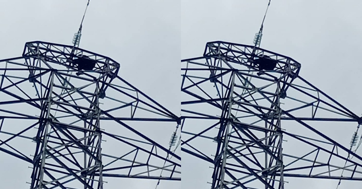 Man Climbs Up Transco Electricity Pole in Tongo