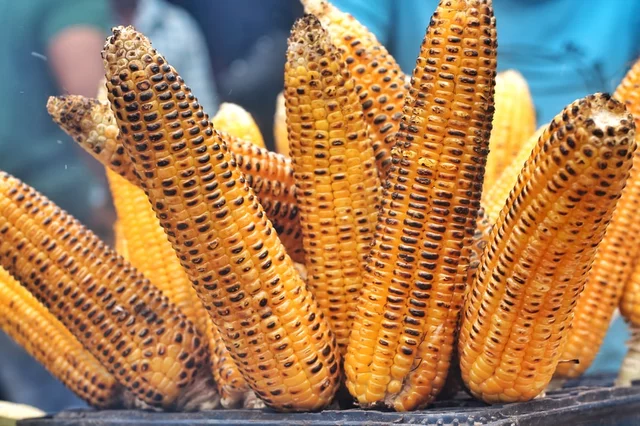 Stop Eating Corn if You Have Any of These Three Diseases