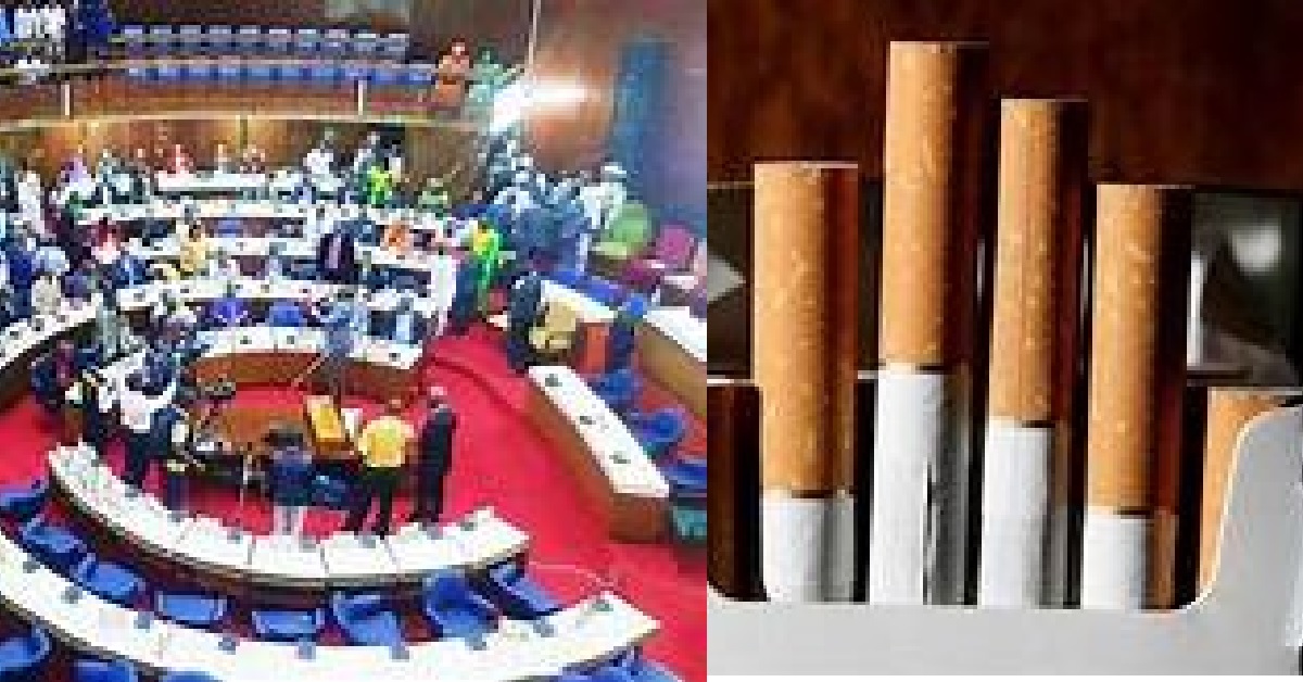 Sierra Leone Parliament Passes The Tobacco and Nicotine Control Act 2022