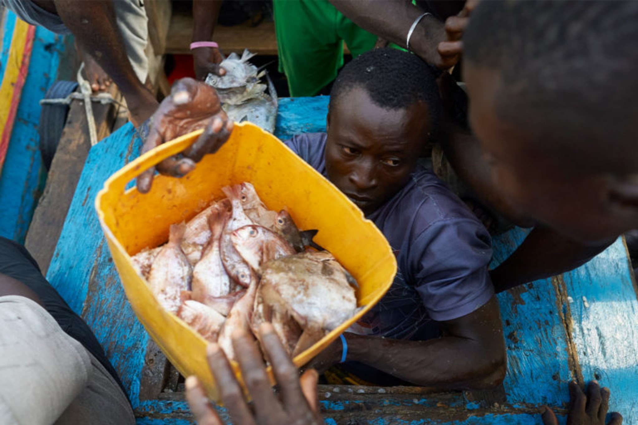In Sierra Leone, Local Fishers And Foreign Trawlers Battle For Their Catch