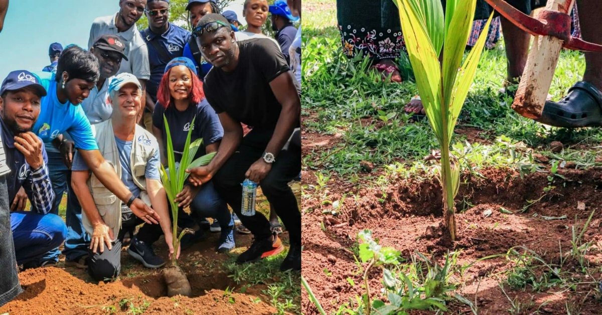 Catholic Relief Services (CRS) in Collaboration With Caritas Freetown, Undertakes a One-Day Tree Planting Activity at The River Number 2 Community.