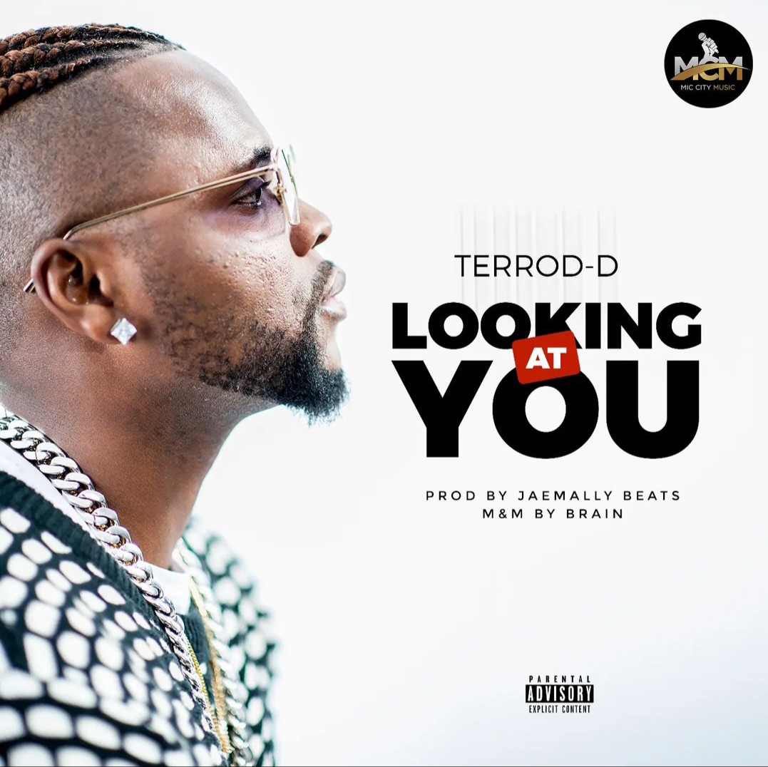 Terror D – Looking At You