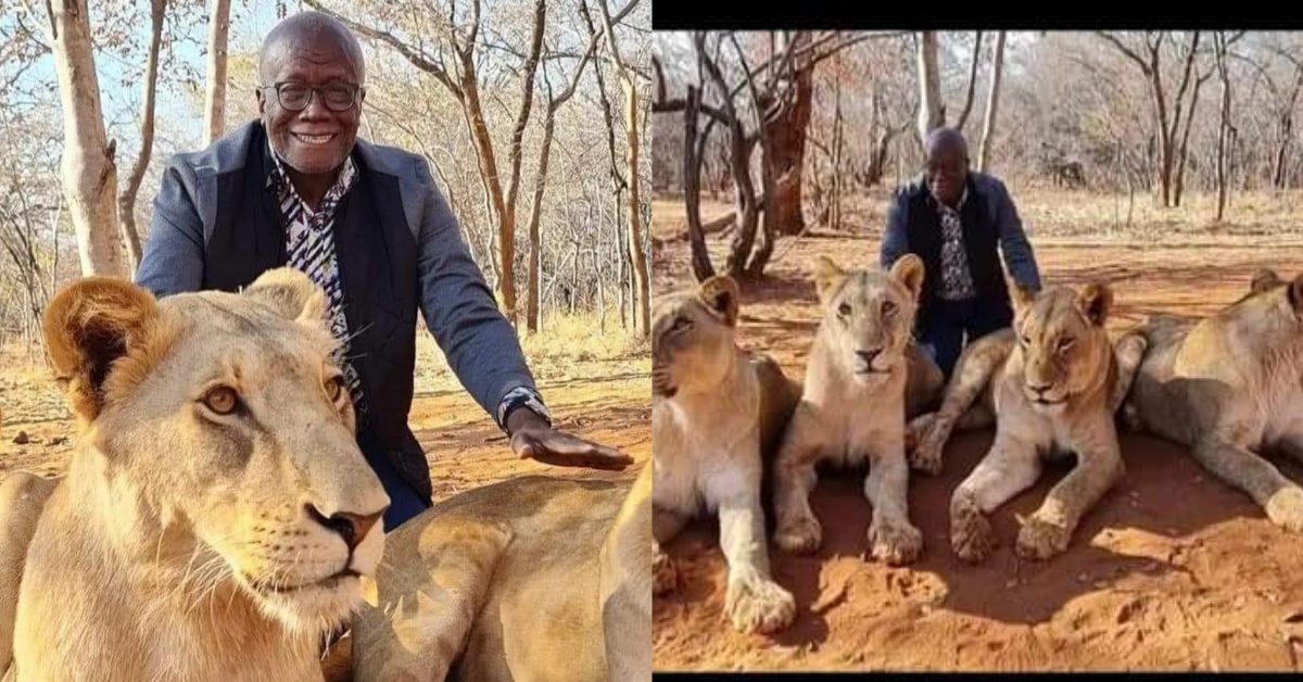 Bank Governor, Prof Kelfala Kallon Spotted Chilling With Lions While on Vacation