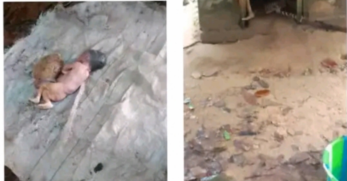 Newly Born Baby Boy Dumped in a Toilet Pit in Kono