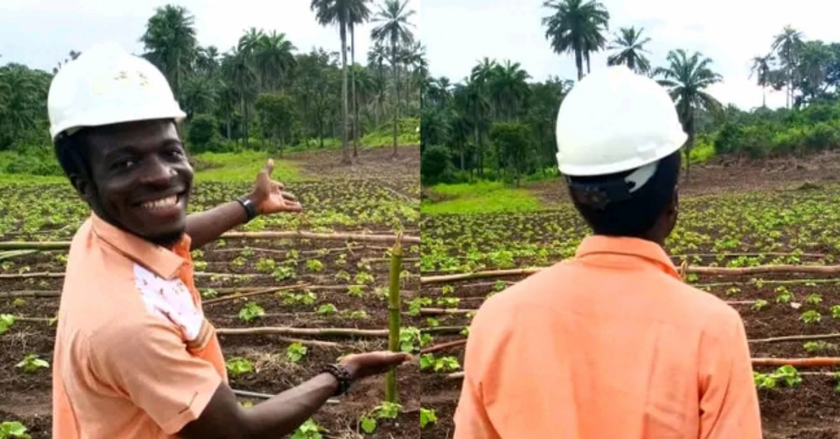 “Sierra Leone is Not Serious About Agriculture” – Orange Social Venture Prize Winner Opined