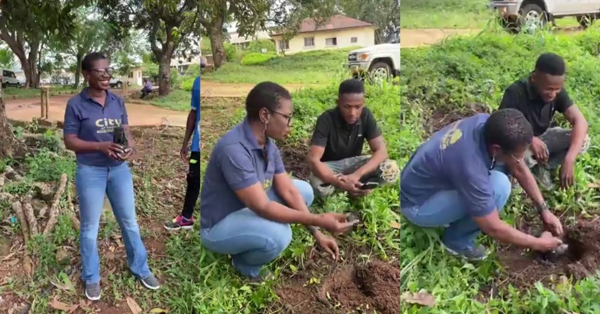 Freetown Mayor Yvonne Aki-Sawyerr Visits One of Freetown Tree Growing Projects