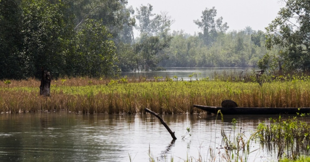 EPA Faces Setback to Protect Wetlands in Bo