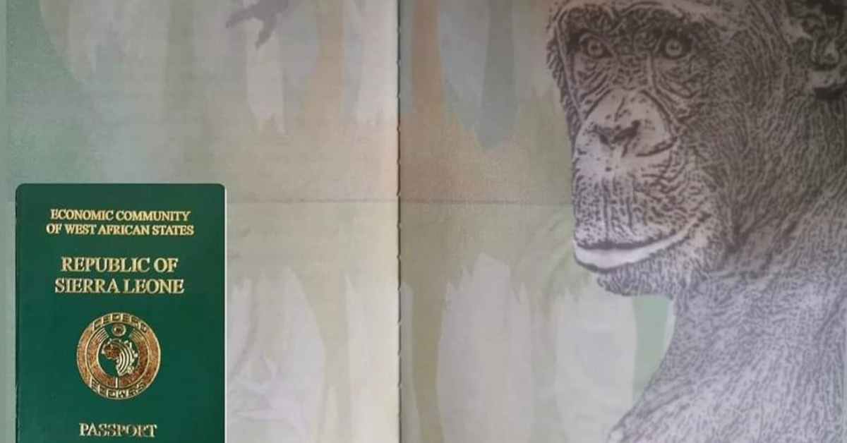 Sierra Leoneans React as Chimpanzee Features in New Passport