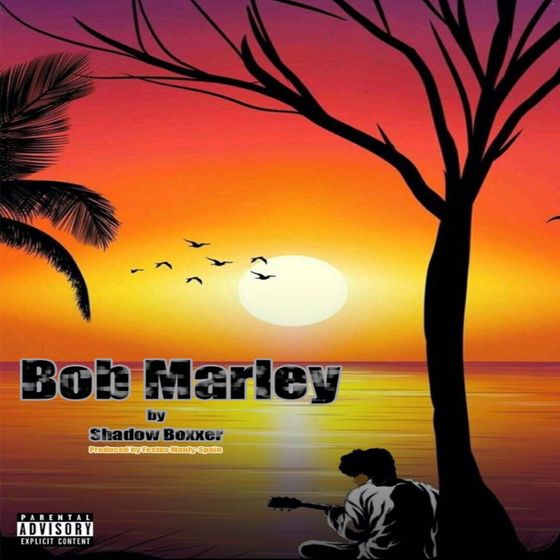 Shadow Boxxer – Bob Marley