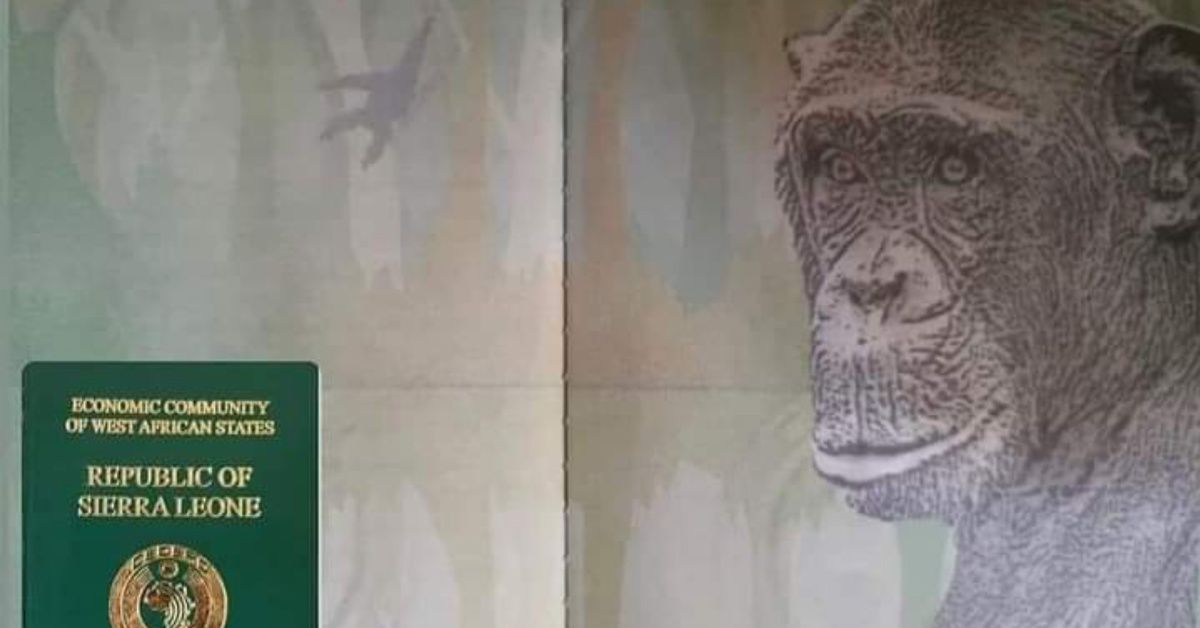Why Government Should Change The Chimpanzee Symbol on The Passport