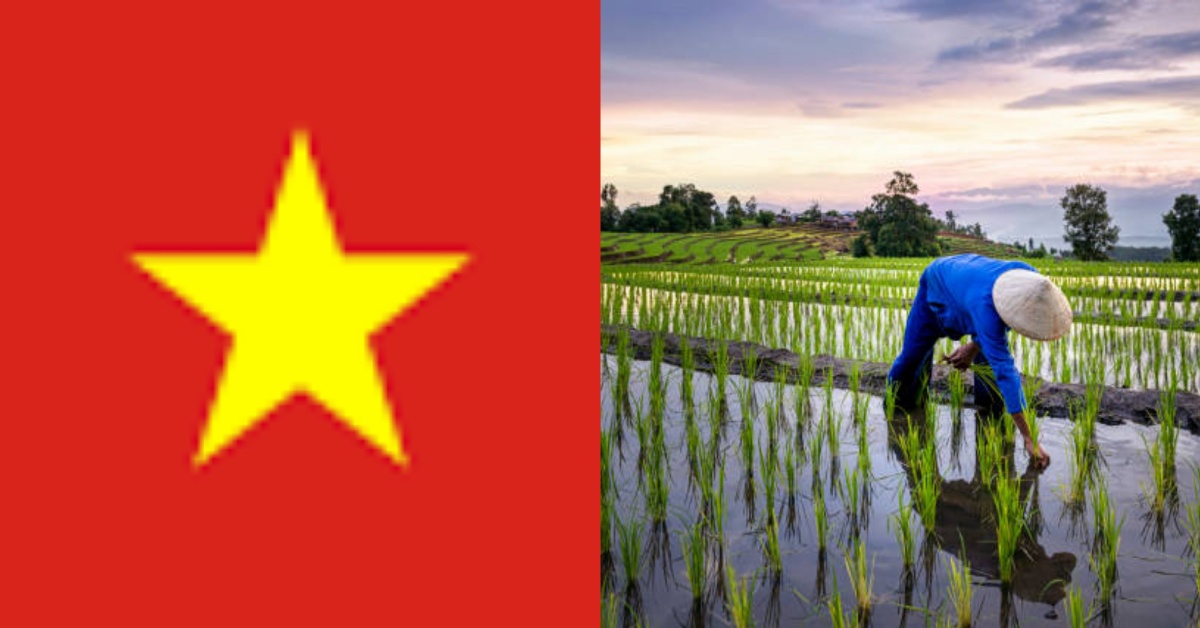 High-level Vietnamese Delegation to Visit Sierra Leone for Agricultural Dialogues