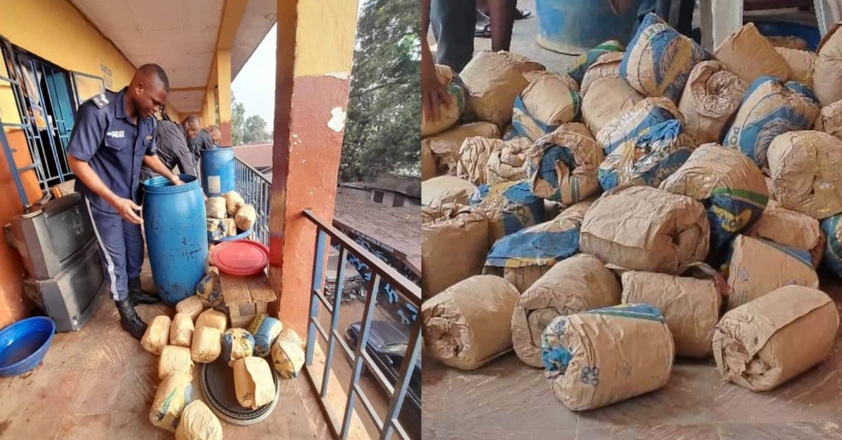 Sierra Leone Police Arrest 8 on Suspicious Possession of Huge Quantity of Cannabis in Waterloo