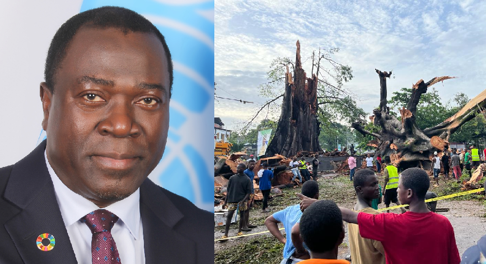 Cotton Tree: UN Resident Coordinator Cautions Sierra Leone on Climate Change Issues