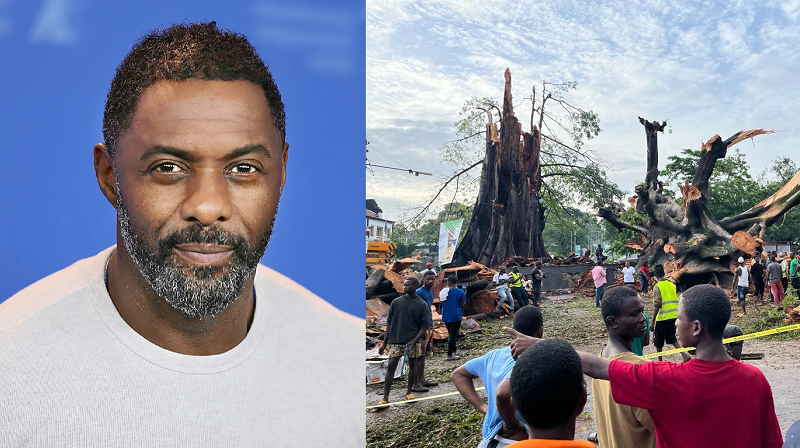 “The Roots Remain” – Idris Elba Reacts to Fall of Freetown’s Cotton Tree