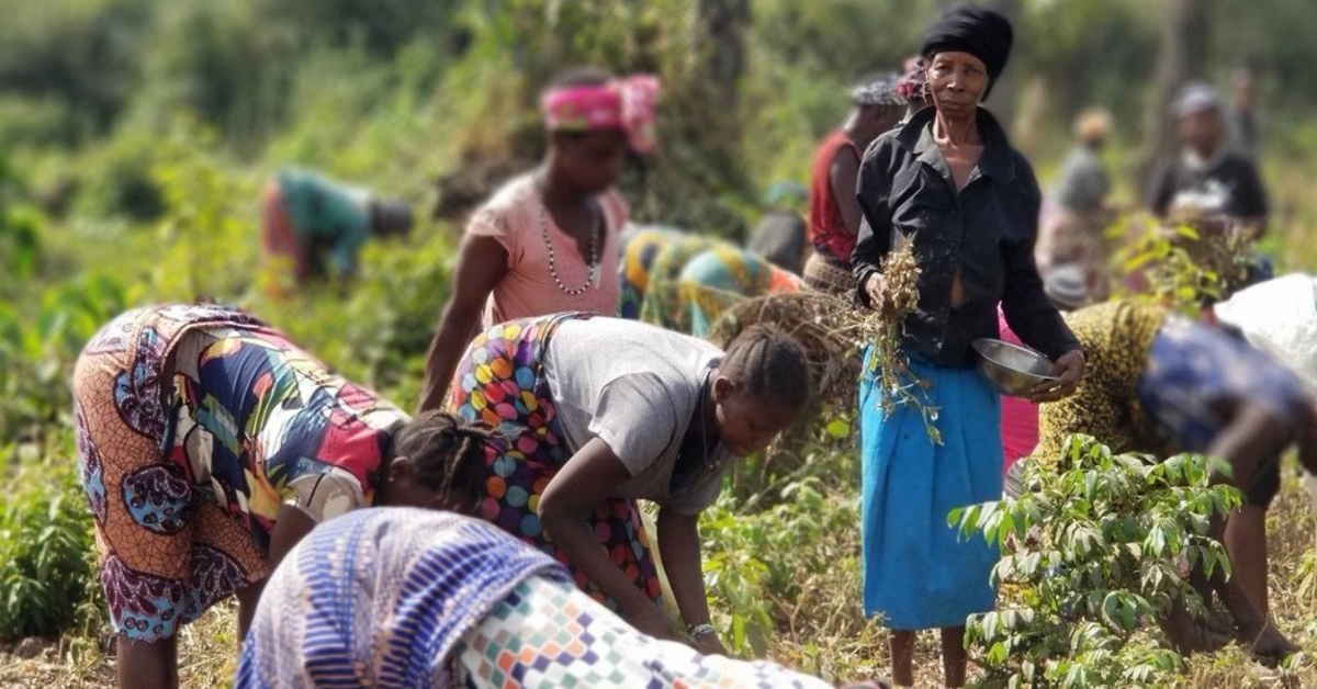 WAWA Sierra Leone Boosts Women Farmers