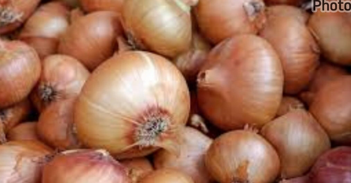 Addressing The Onion Crisis: Pathways to Self-Sufficiency For Sierra Leone