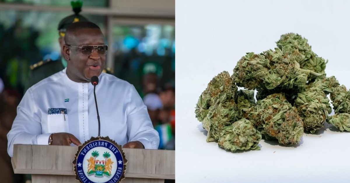 President Bio to Declare State of Emergency on Drugs in Sierra Leone