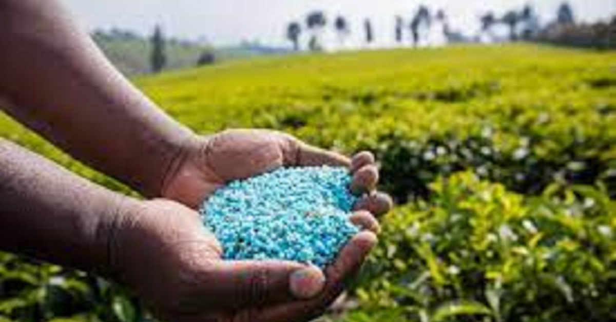 Sierra Leone Government Receives 5,000 Metric Tons of Fertilizer