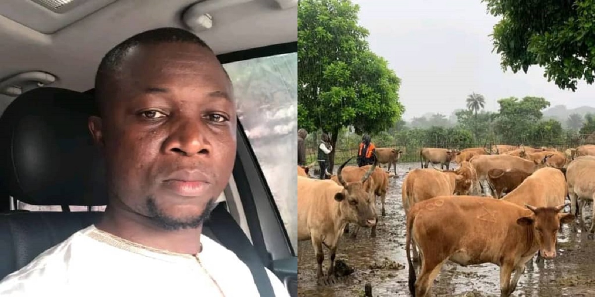 State House Communications Manager Reveals Cattle Ranch Success in Five Years