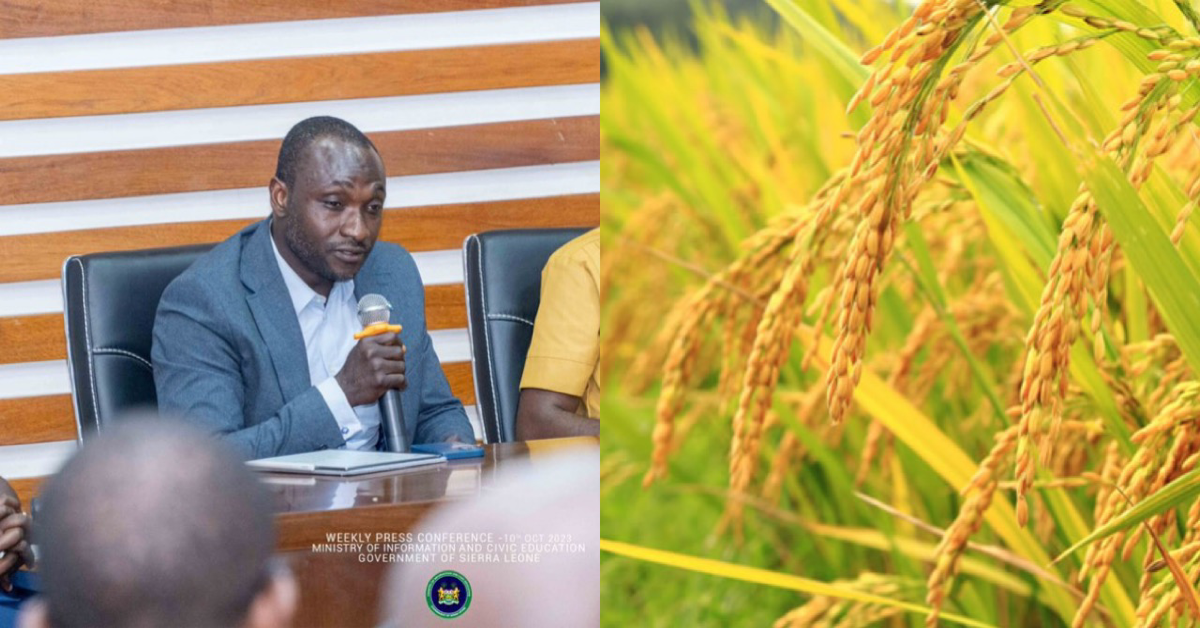 Agriculture Minister Confirms Government Secures $480 Million For Tormabom Rice