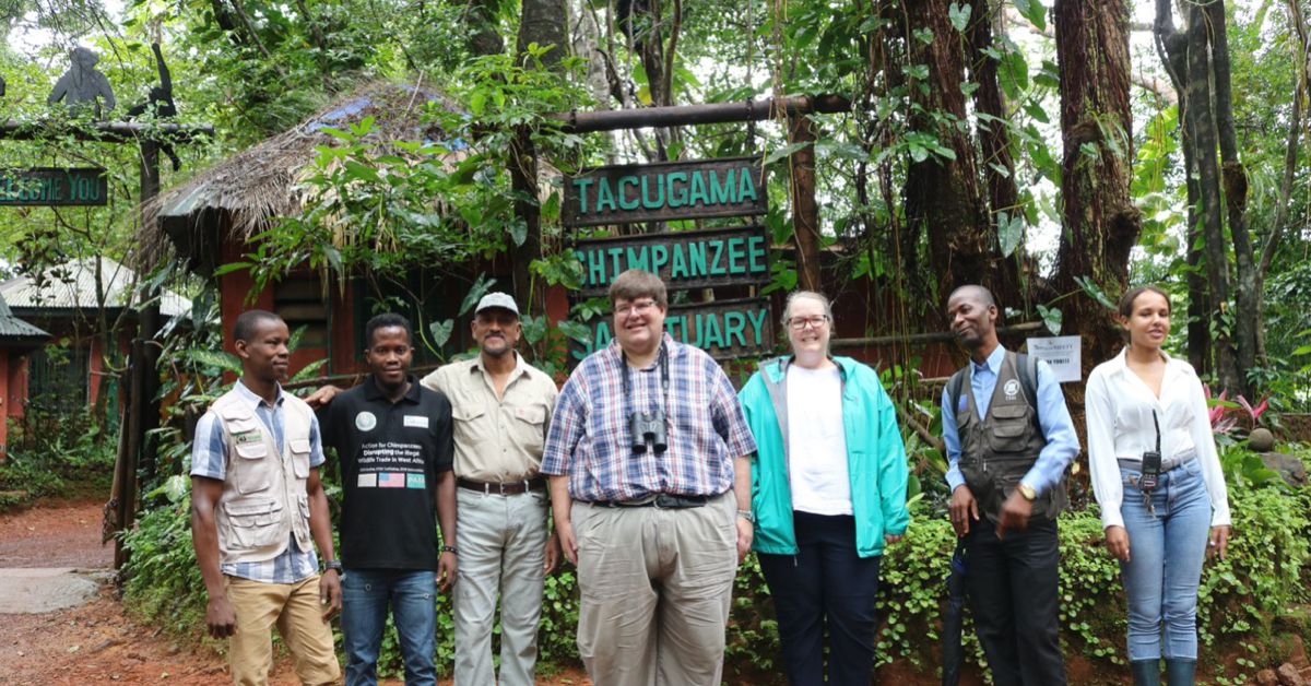 U.S. Ambassador to Sierra Leone Visits Tacugama Chimpanzee Sanctuary