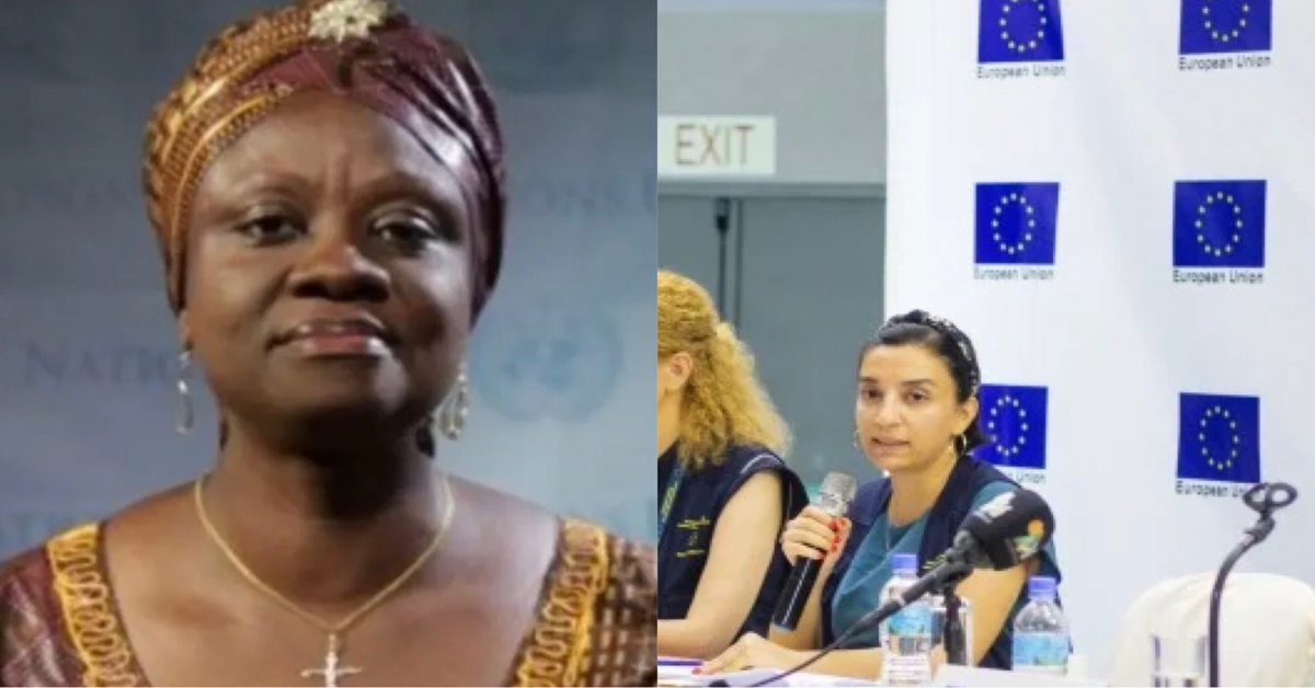 Sylvia Blyden Sues European Union Election Observation Mission Over Defamatory Publications