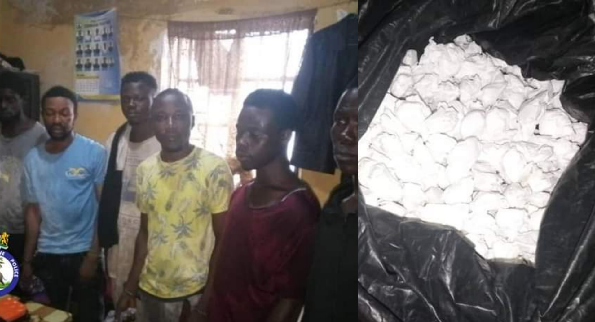 Six Suspects in Police Custody Over Kush Possession