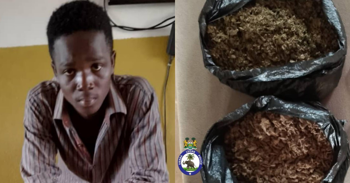 Police Arrest 21-Year-Old With Suspected Kush And Scale at Mambudu Checkpoint