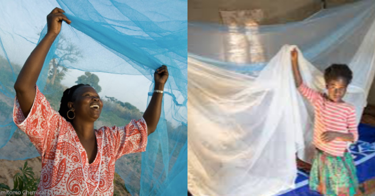 Ministry of Health Gears Up For Massive Insecticide-Treated Nets Distribution in Sierra Leone