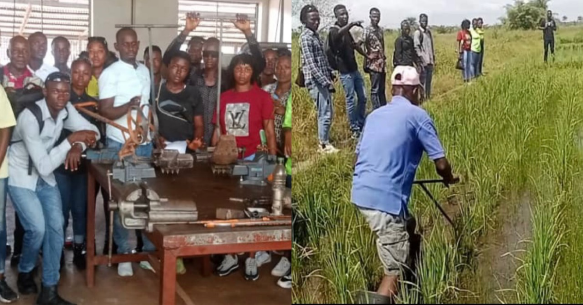 SLARI Holds Training to Boost Rice Production And Empower Farmers in Sierra Leone
