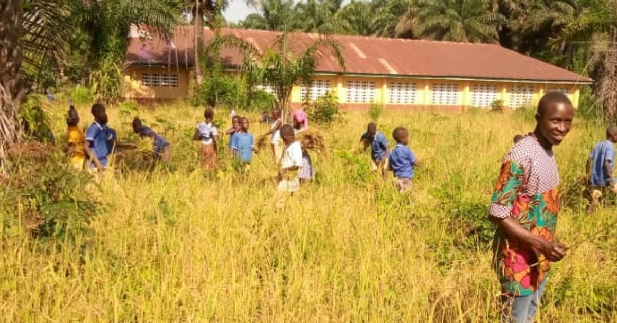 UMC Primary School in Kholifa Mabang Engages in Rice Cultivation