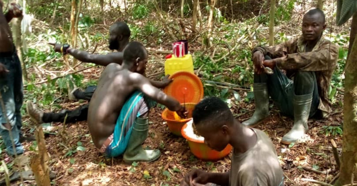 Youths of Ya-Kemoh Kpukumu Krim Chiefdom in Pujehun District Embark on Cassava Farming