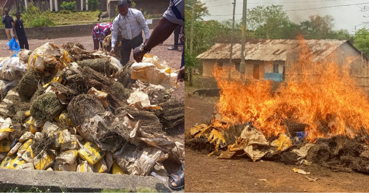 Sierra Leone Police and Judiciary Collaborate to Destroy Huge Quantity of Drugs in Kenema