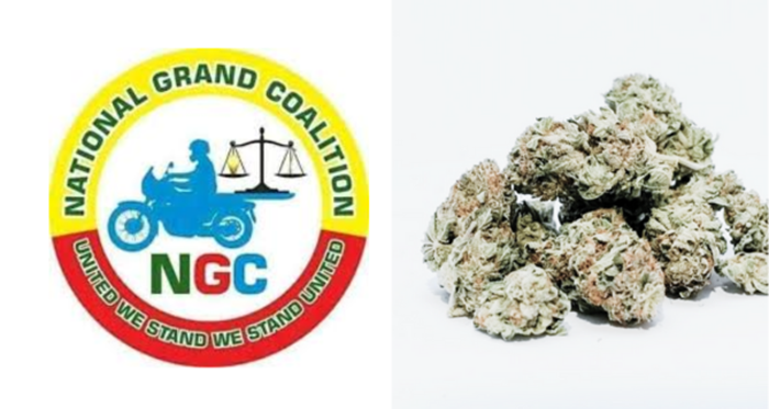 NGC Demands National Emergency And Action Plan to Combat Kush Epidemic