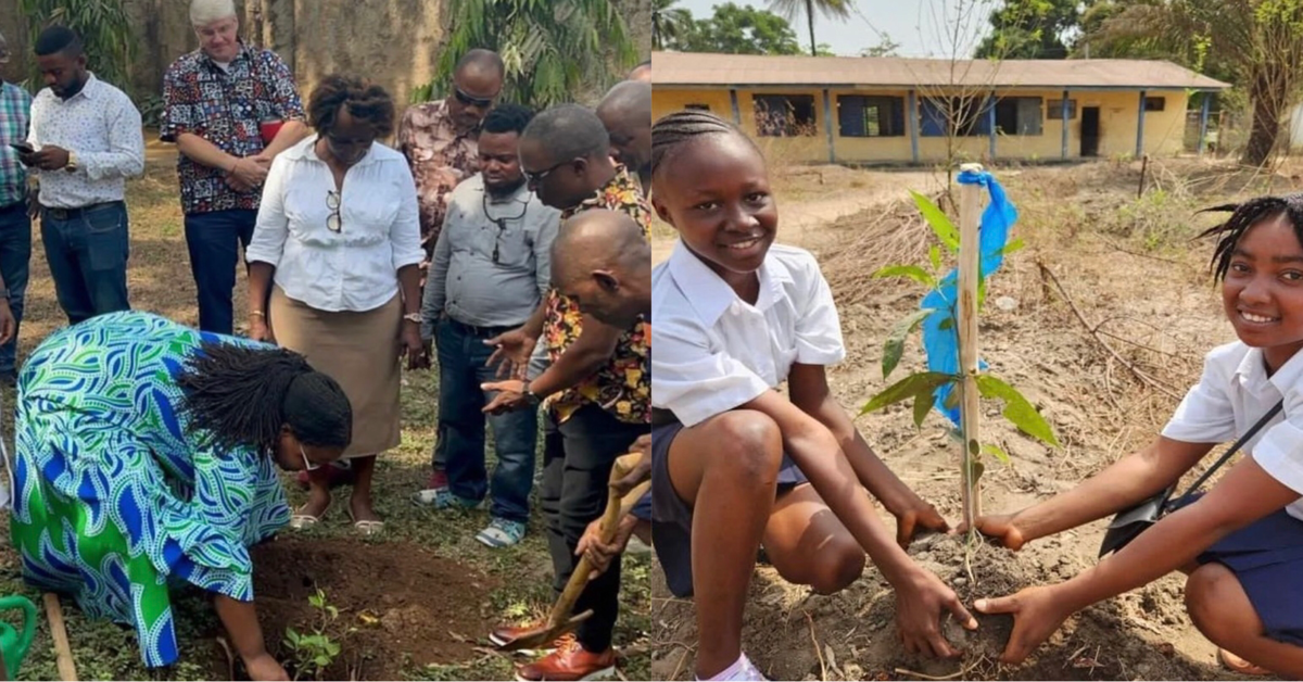 Peace Corps Volunteers in Sierra Leone Plants Trees in Celebration of Peace Corps Week