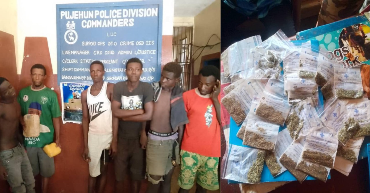 Six Drug Dealers Sent to Prison in Pujehun For Possessing Kush, Cannabis sativa